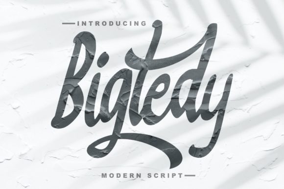 Bigtedy Script: A Timeless Handwritten Font for Real Branding