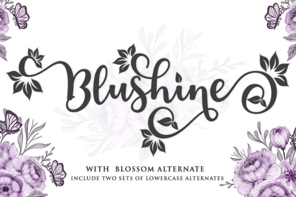 Blushine Script: A Premium Script Handwritten Font for Brand Elegance