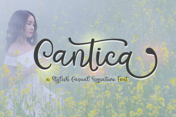 Cantica Script Font for Elegant Handmade Branding