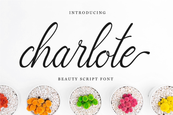 Charlote Script: A Delicate Script Font for Editorial Elegance