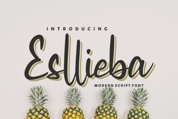 Esllieba Script: A Refined Script Handwritten Font for Real Branding