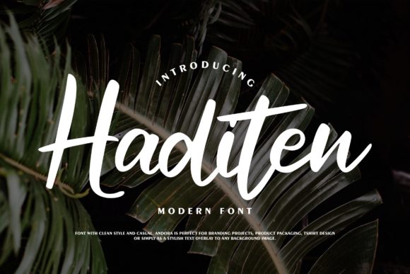 Haditen Script: A Chic Script Handwritten Font for Modern Web Design