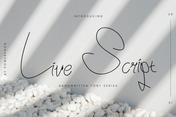Live Script Font for Elegant Brand Identity Design