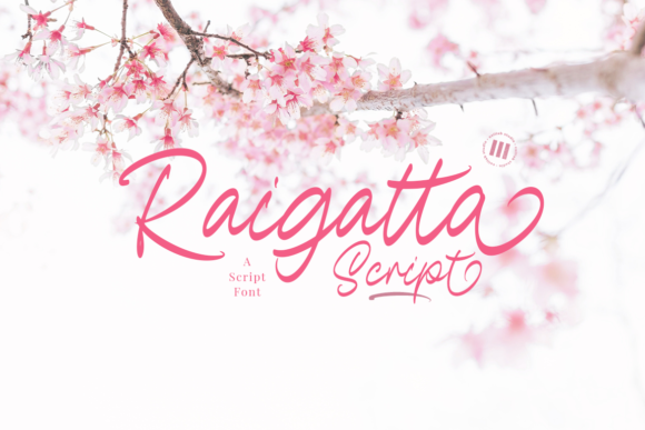 Raigatta Script: A Cursive Handwritten Font for Real Brand Moments